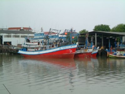 pesca 1  LABRANZA
